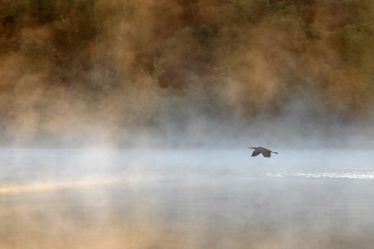 Competition entry: Morning Mist UpNorth