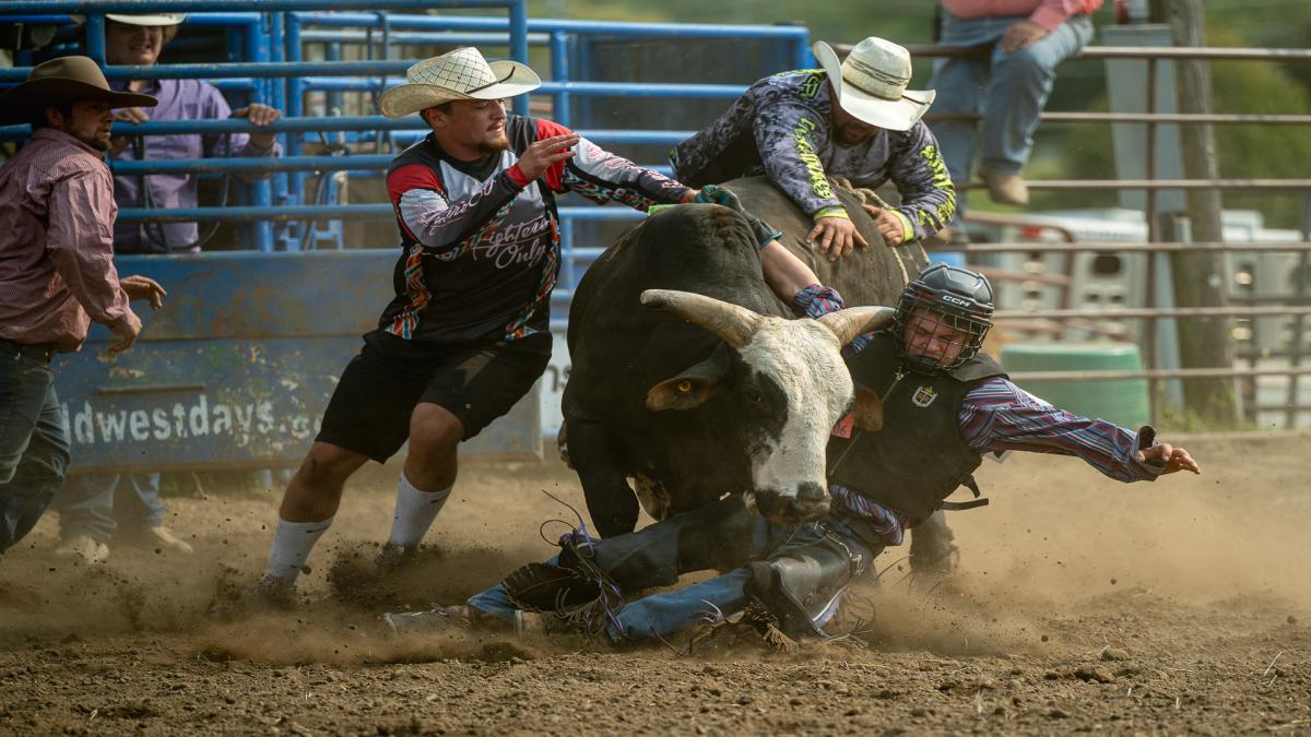 Bullrider