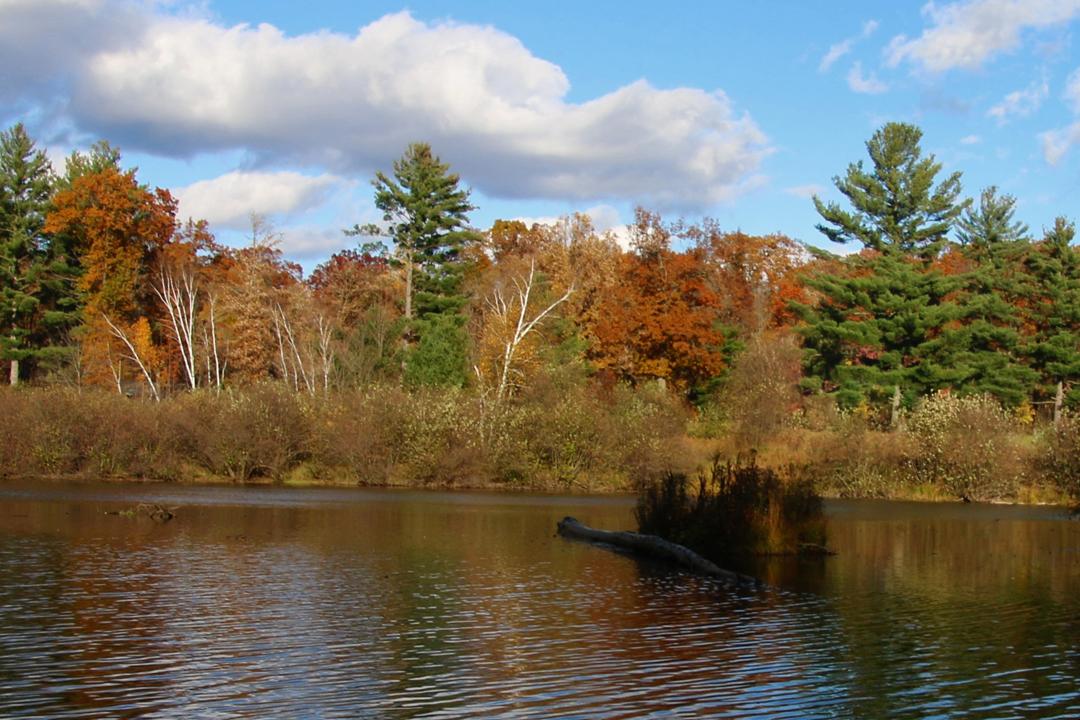Competition entry: Autumn at Snyder Lake