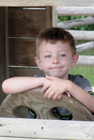 Competition entry: Brandon