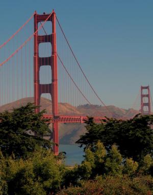 Competition entry: San Francisco Landmark