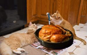 Competition entry: Thanksgiving Dinner