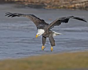 Competition entry: Soft Landing