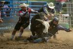 Bullrider