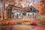 Competition entry: ORA Park House Ready for Fall